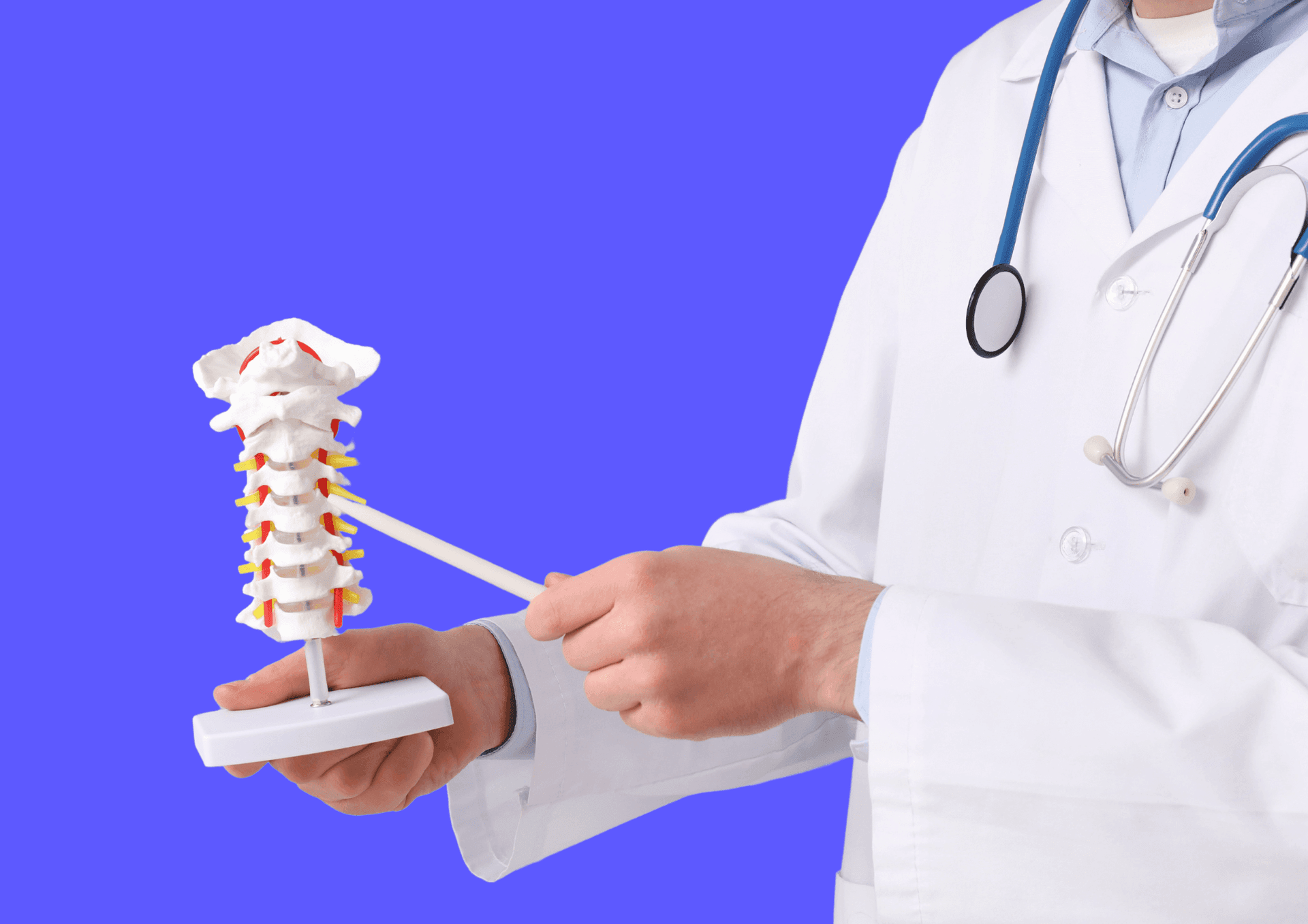 Arzt zeigt auf die Nachbildung einer Wirbelsäule um von Spondylarthrose befallene Facettengelenke zu demonstrieren.